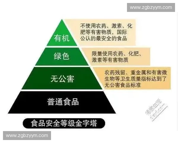 全面提升身体机能的科学运动恢复与健康管理指南 全面提升身体机能的科学运动恢复与健康管理指南