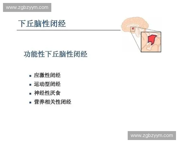 反应球训练提升运动反应速度与敏捷性的全面指南 反应球训练提升运动反应速度与敏捷性的全面指南