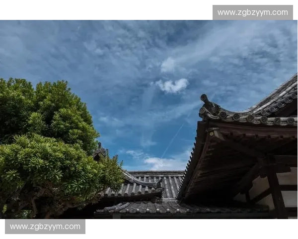 《在慢动作镜头中捕捉瞬间的诗意与生命的深邃》 《在慢动作镜头中捕捉瞬间的诗意与生命的深邃》